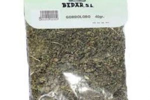 GORDOLOBO BEDAR